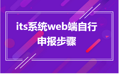 its系统web端自行申报步骤